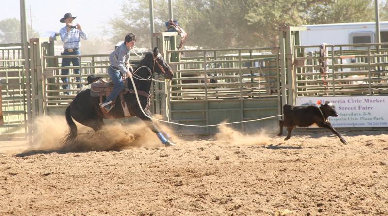 Rodeo_Jun2012_header_lg Rodeo_Jun2012_header_lg