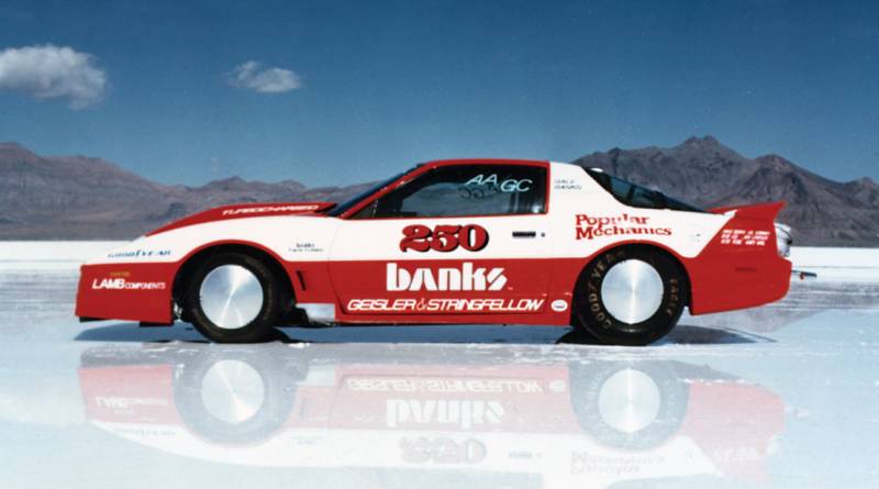 Firebird Salt 1986 Firebird Salt 1986