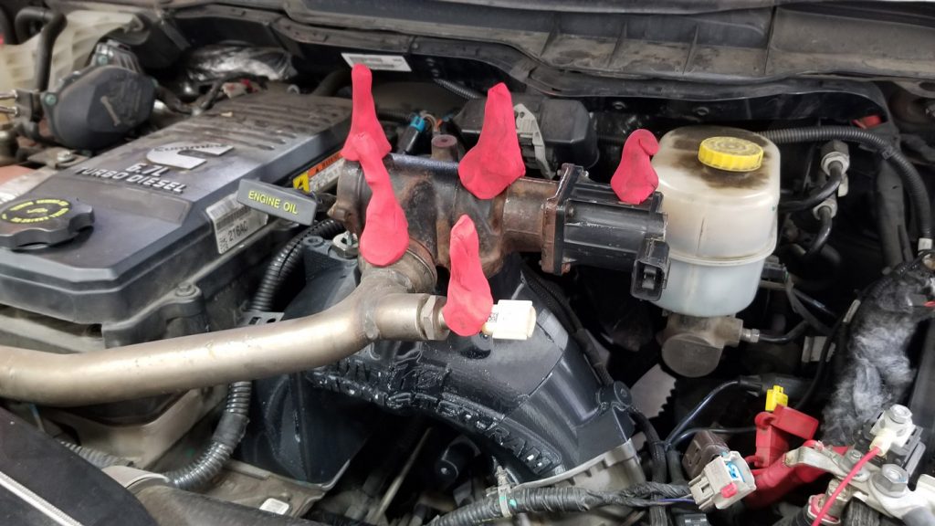 Monster Ram on a High-CARB diet