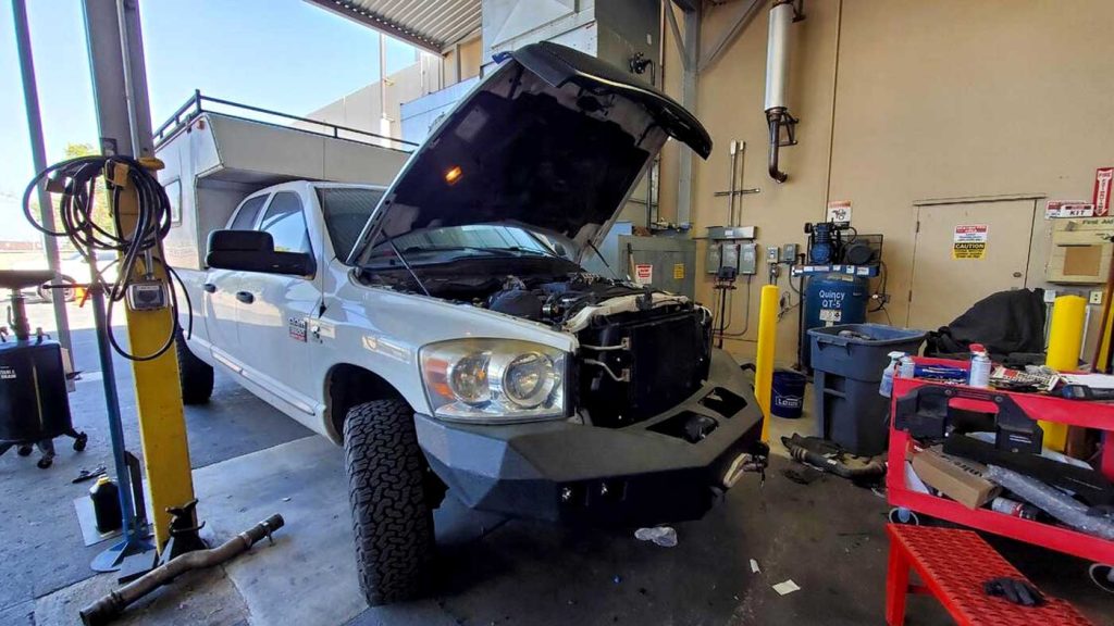 The Beast in the shop