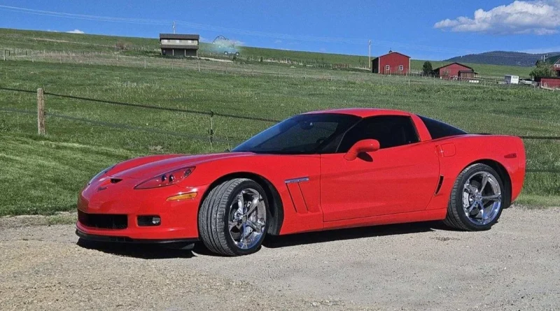 vette 2_crop.jpg vette 2_crop.jpg